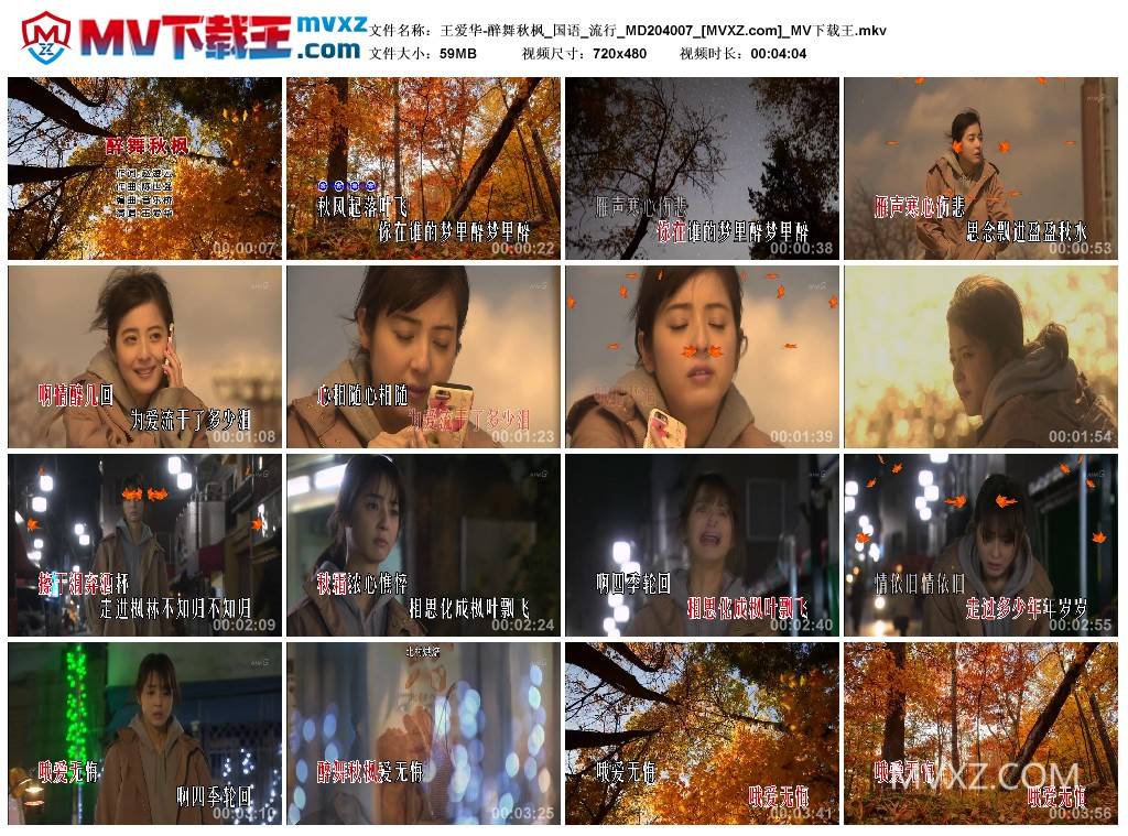 王爱华-醉舞秋枫_国语_流行_MD204007